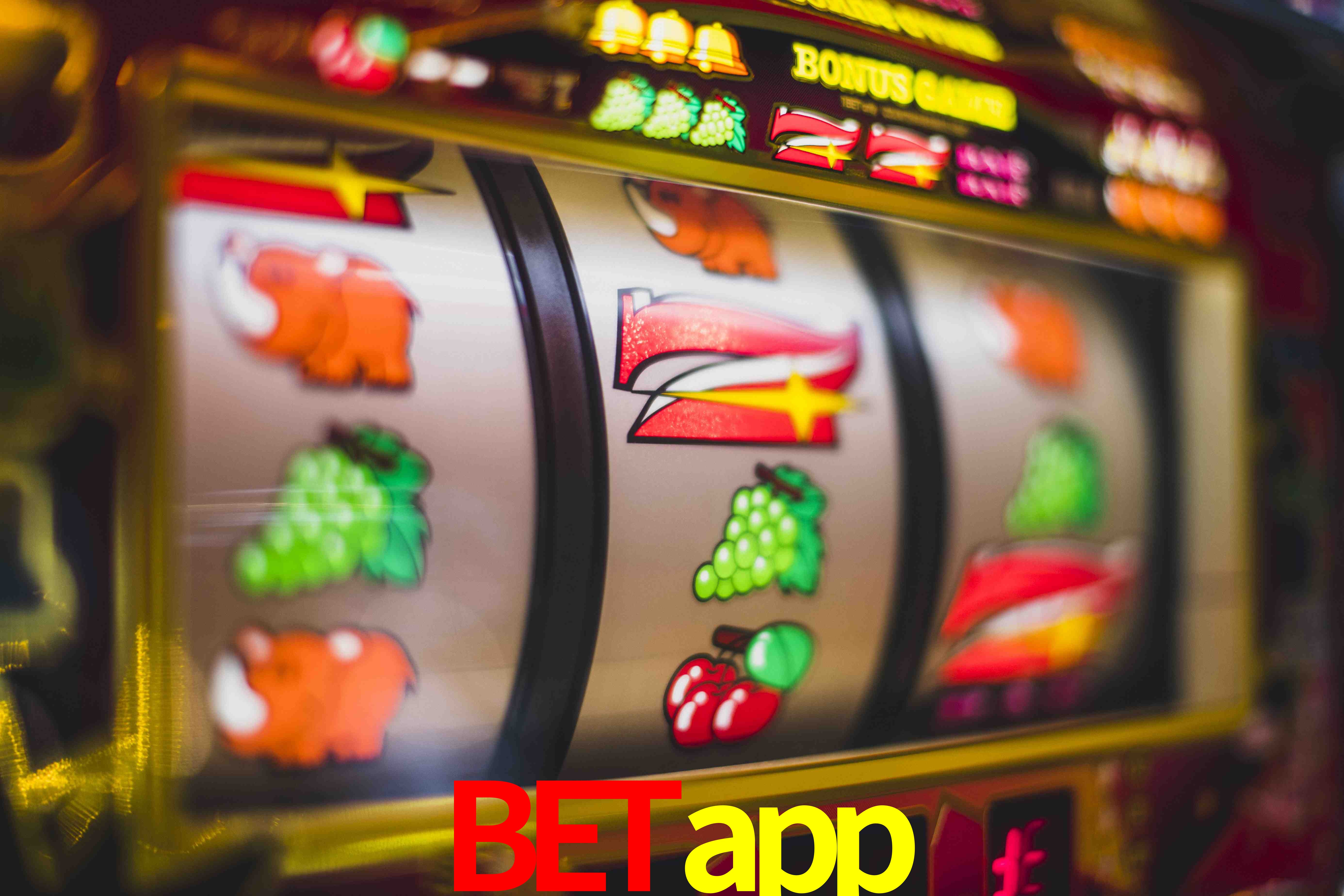 Basketball Betting betapp